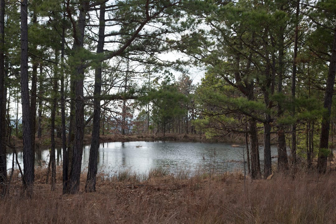 Stone Creek Phase III Tract 67 photo 17