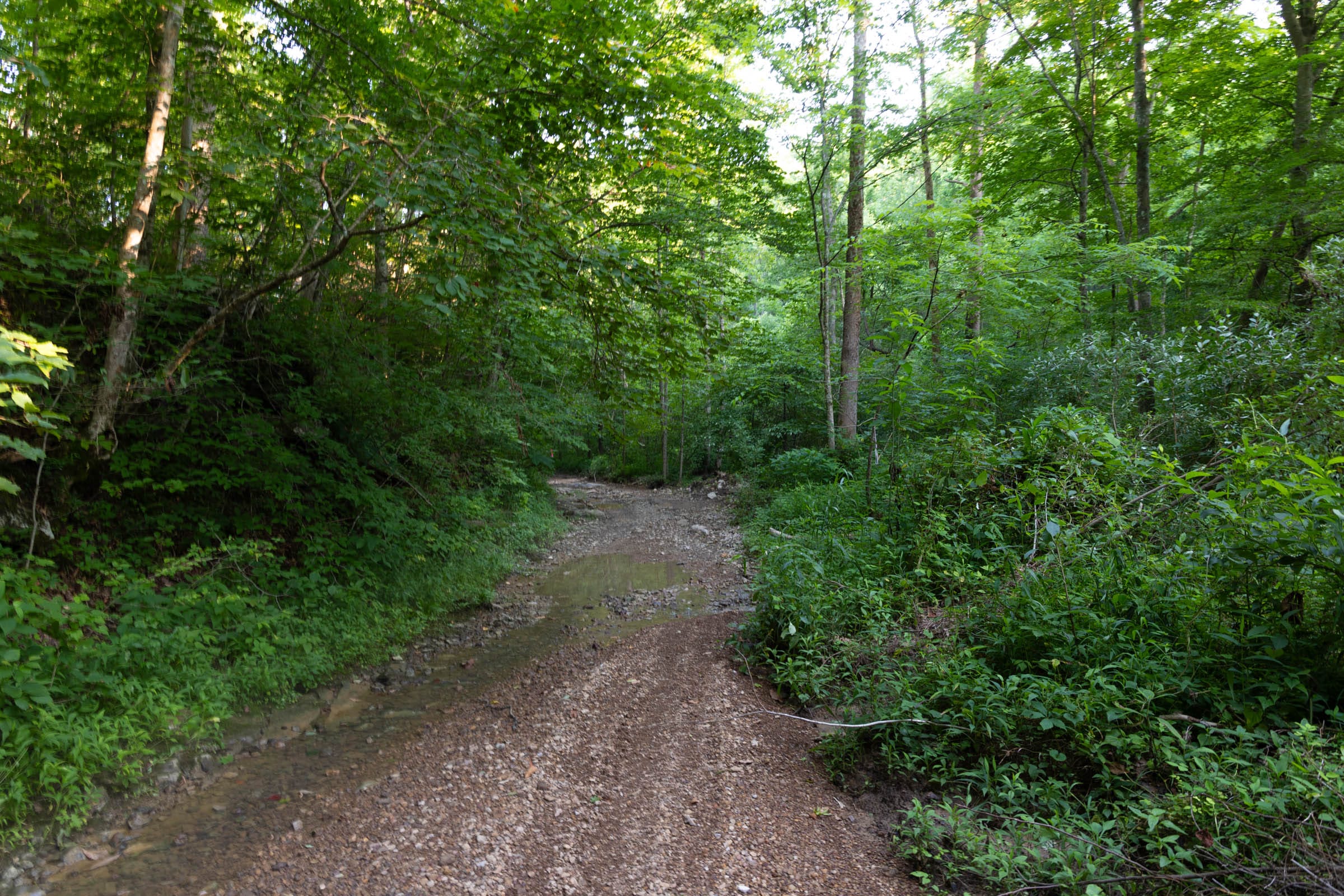 Creek Hollow Phase II Tract 63 photo 2
