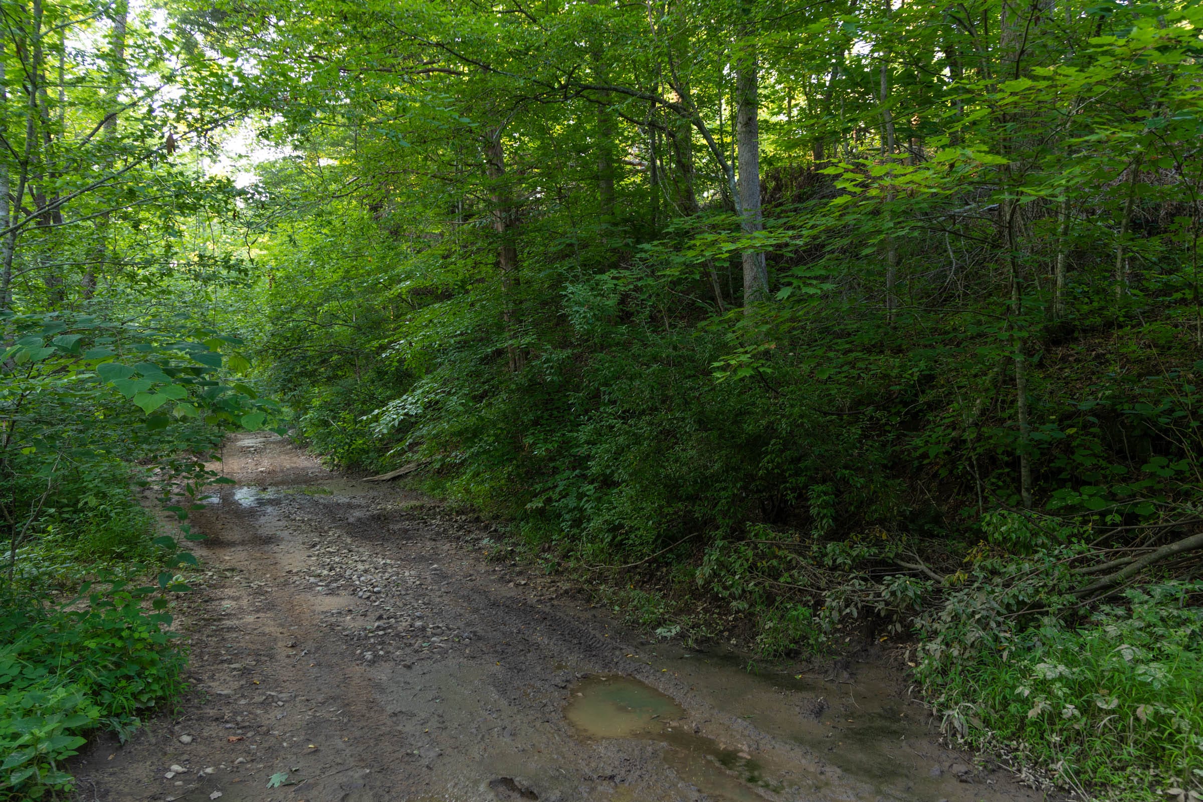 Creek Hollow Phase II Tract 63 photo 6