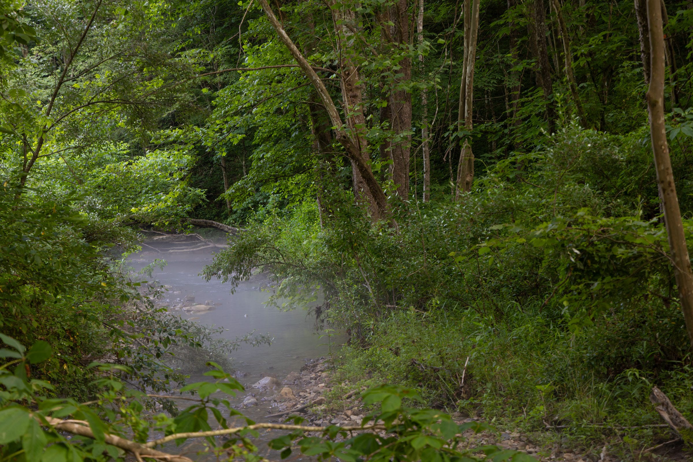 Creek Hollow Phase II Tract 63 photo 5