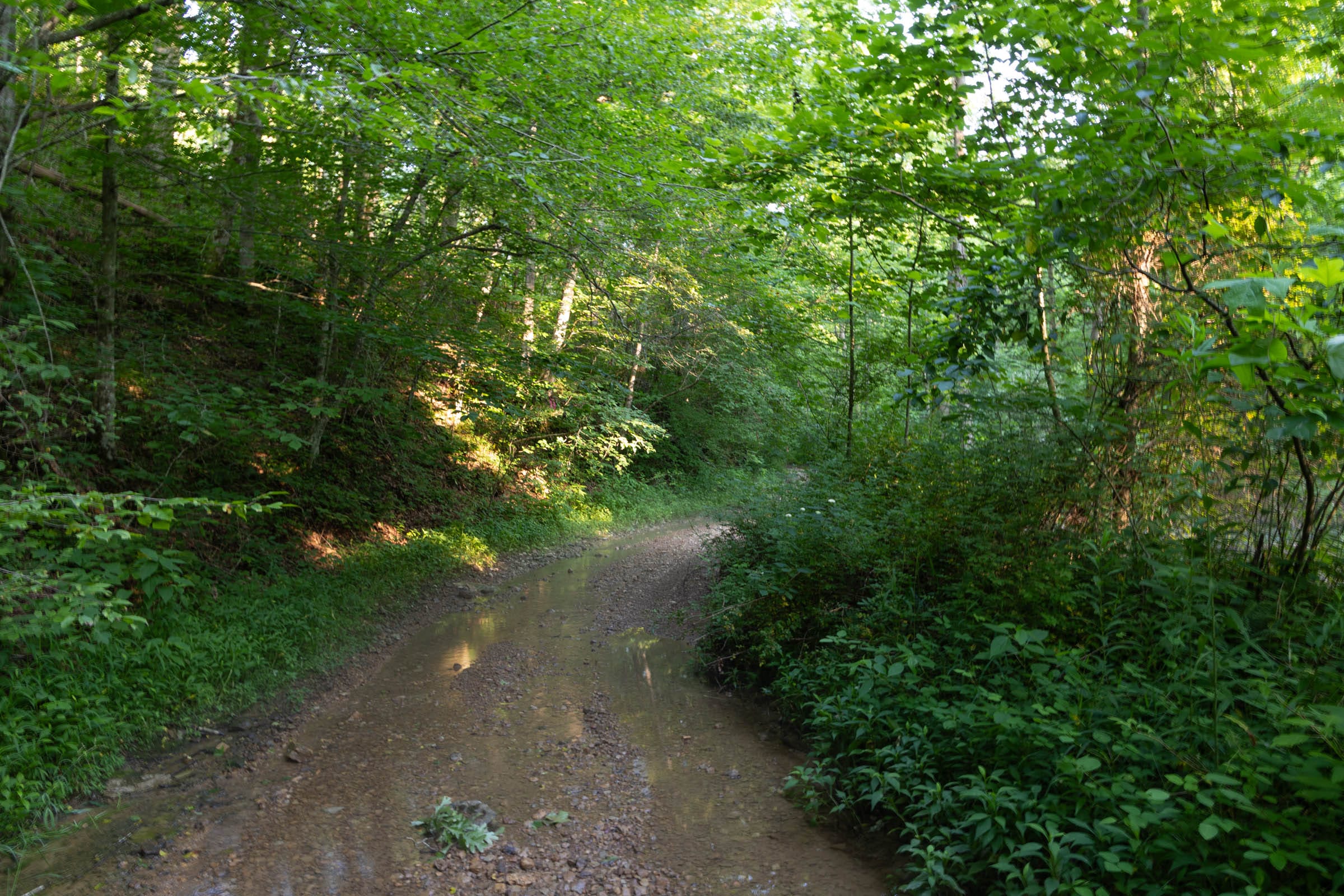 Creek Hollow Phase II Tract 63 photo 1