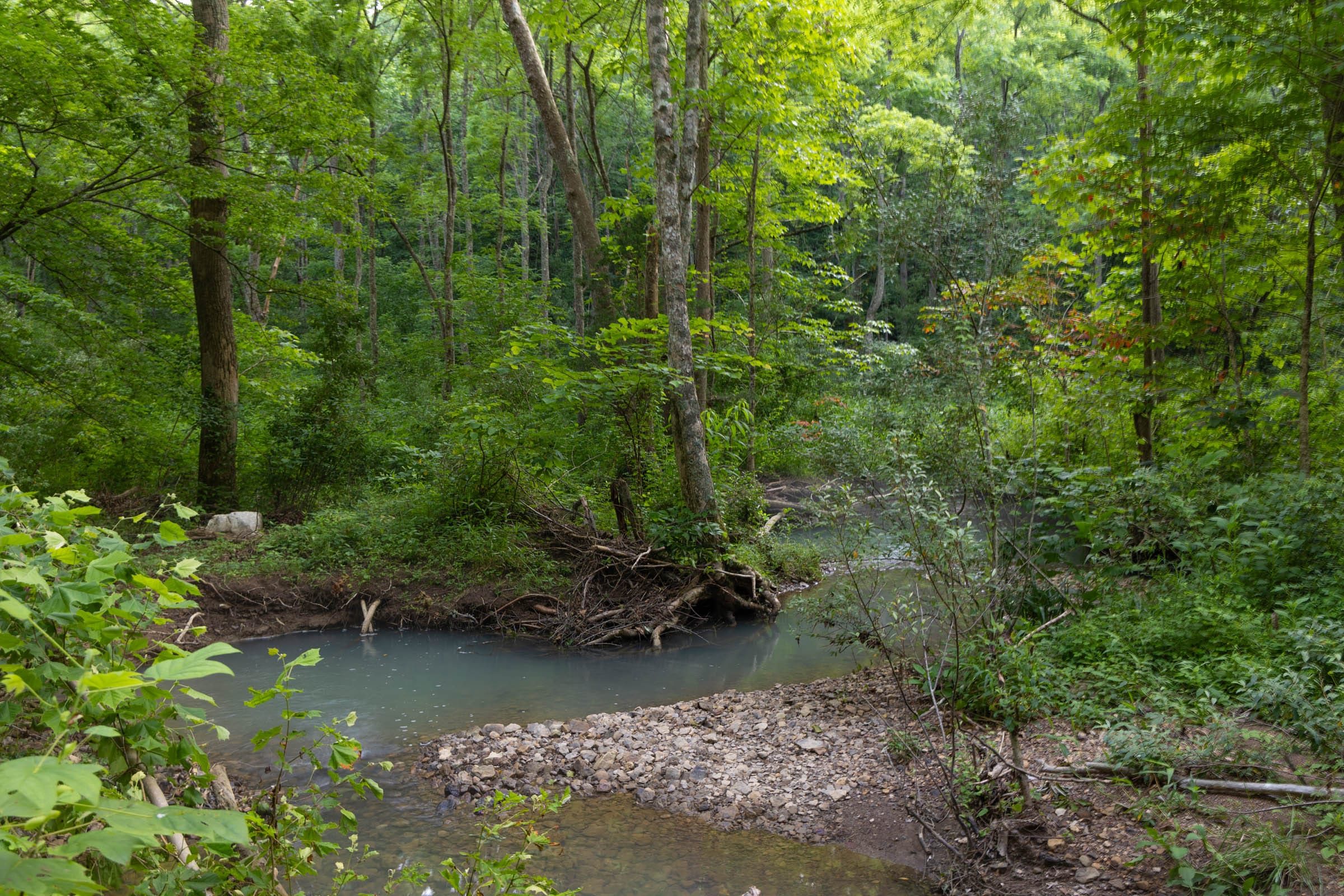 Creek Hollow Phase II Tract 63 photo 3