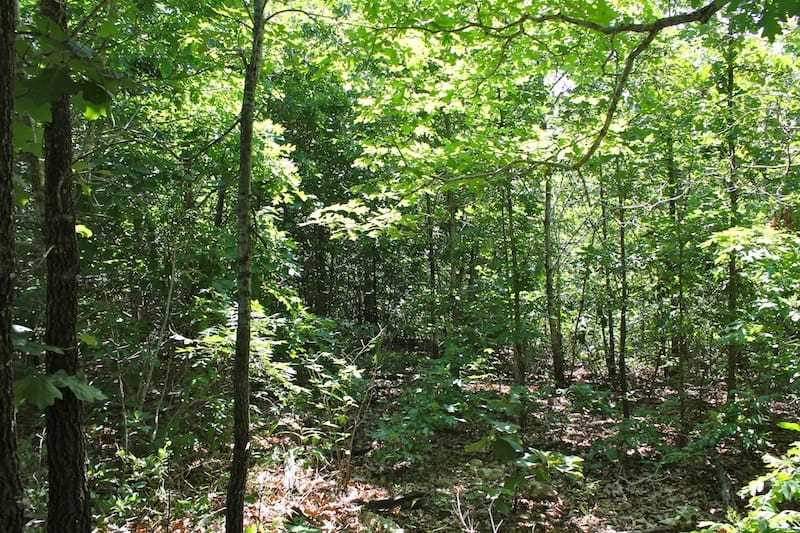 Green Mountain Ranch Tract 50 photo 1