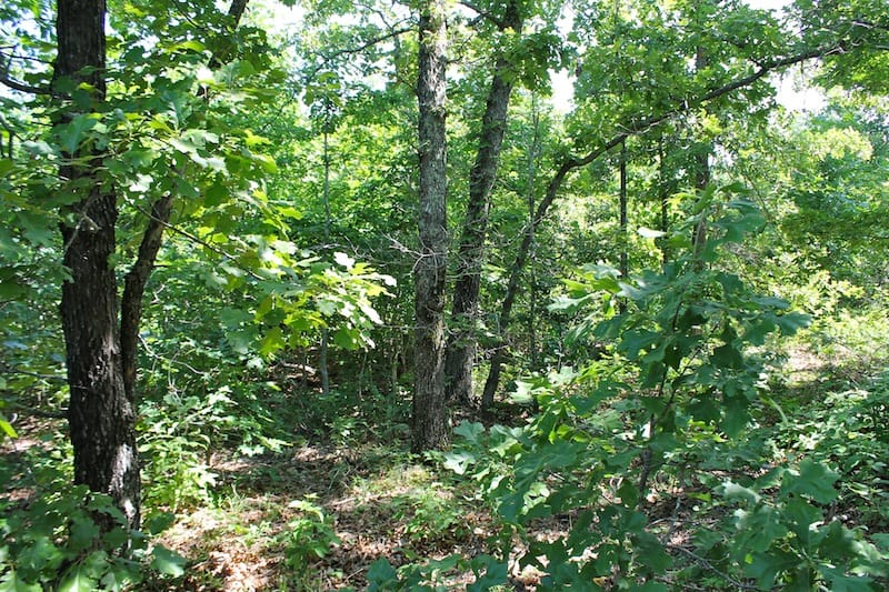 Green Mountain Ranch Tract 50 photo 9