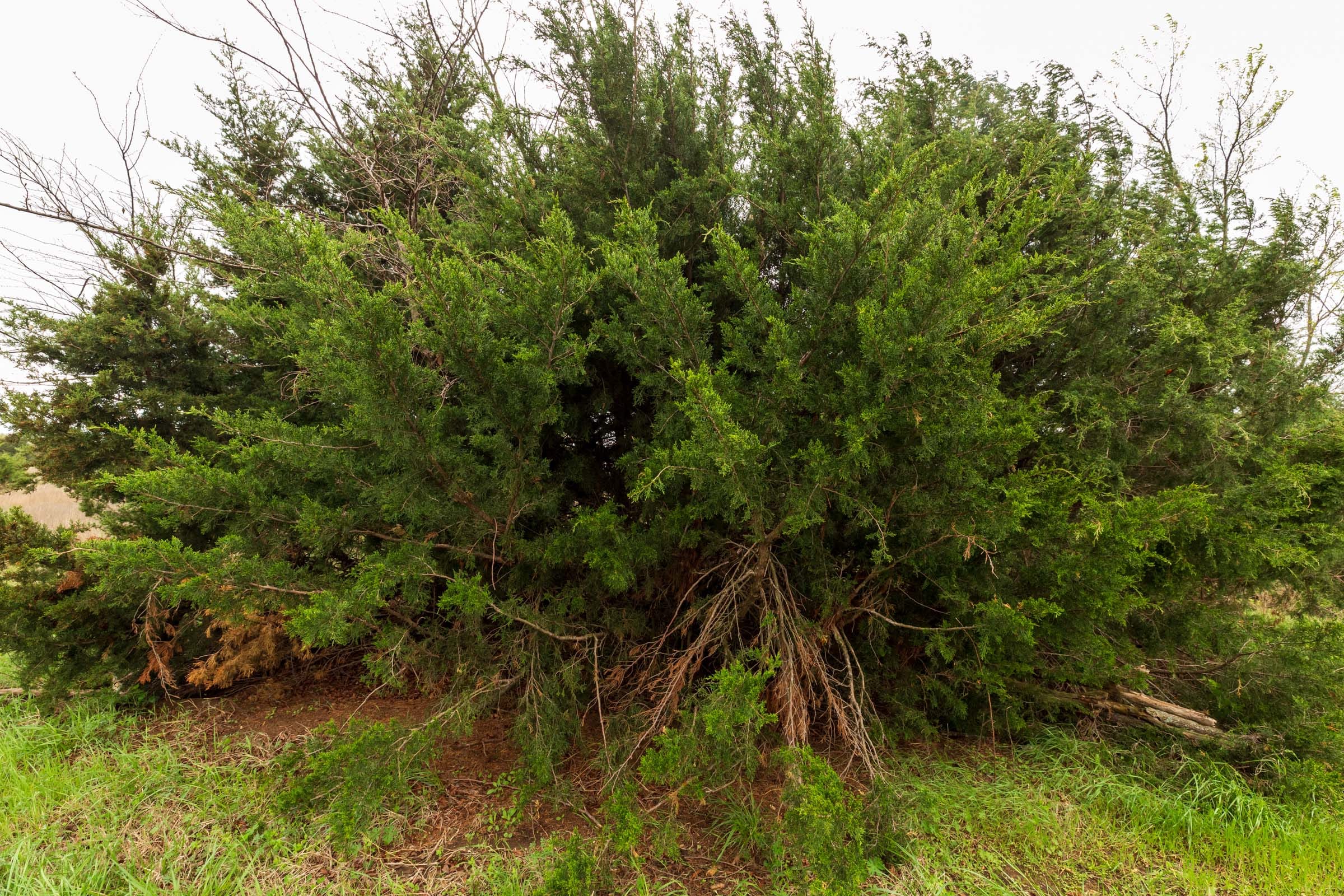 Moonrise Meadows Tract 16 photo 5