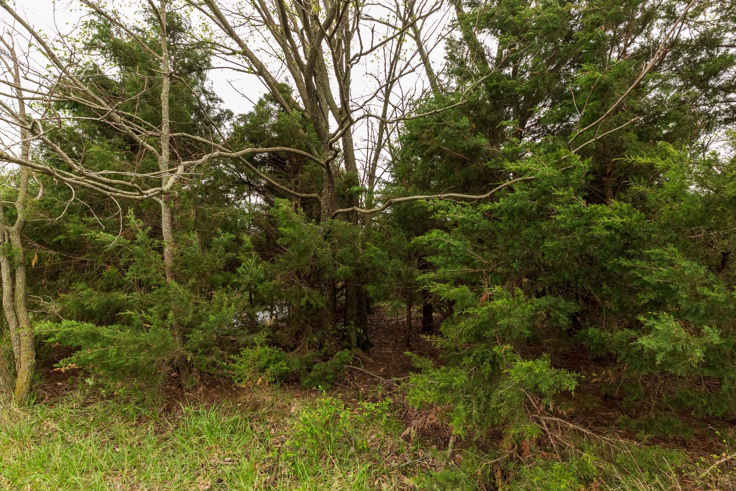 Moonrise Meadows Tract 16 photo 2