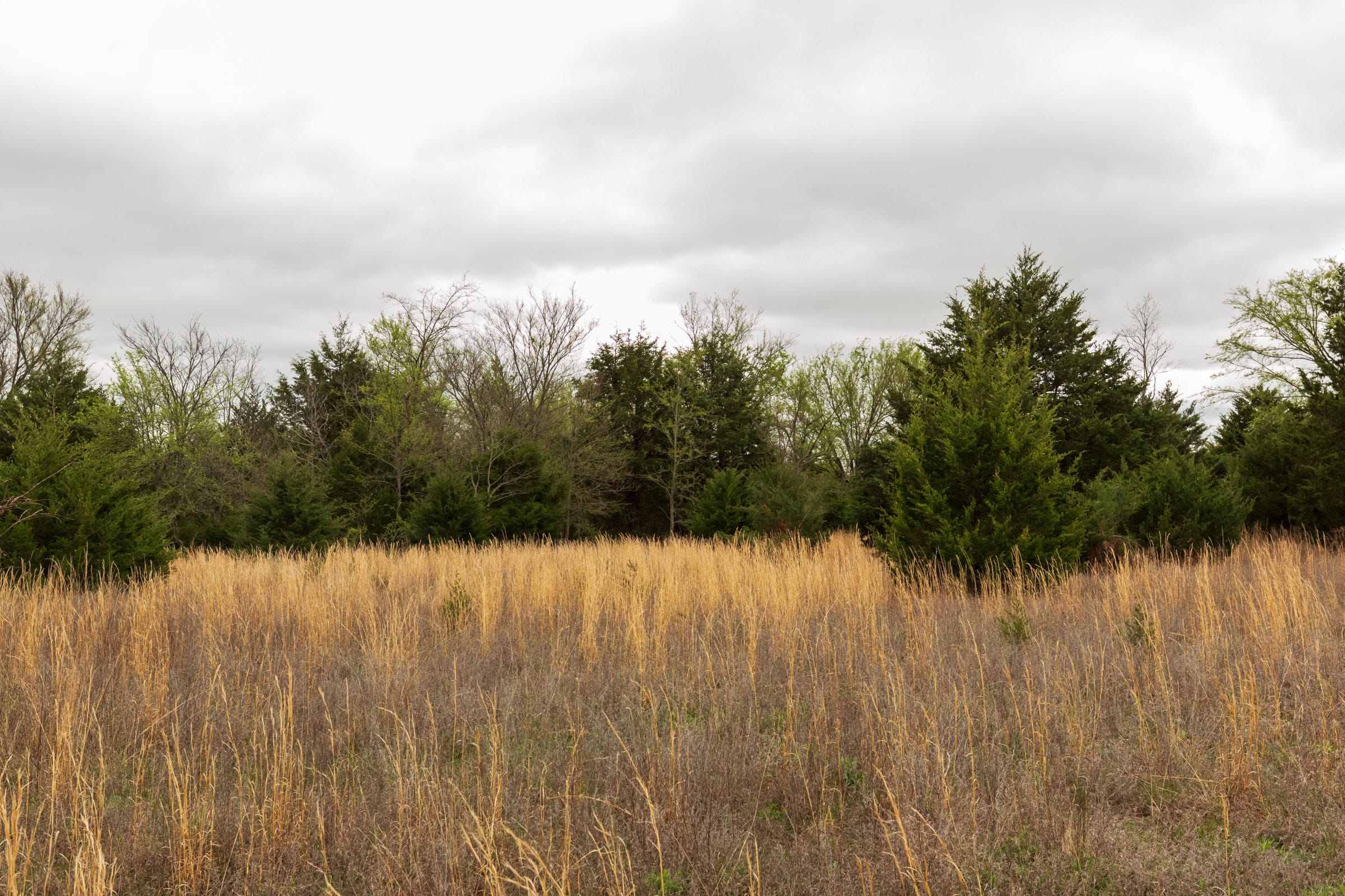 Moonrise Meadows Tract 16 photo 16