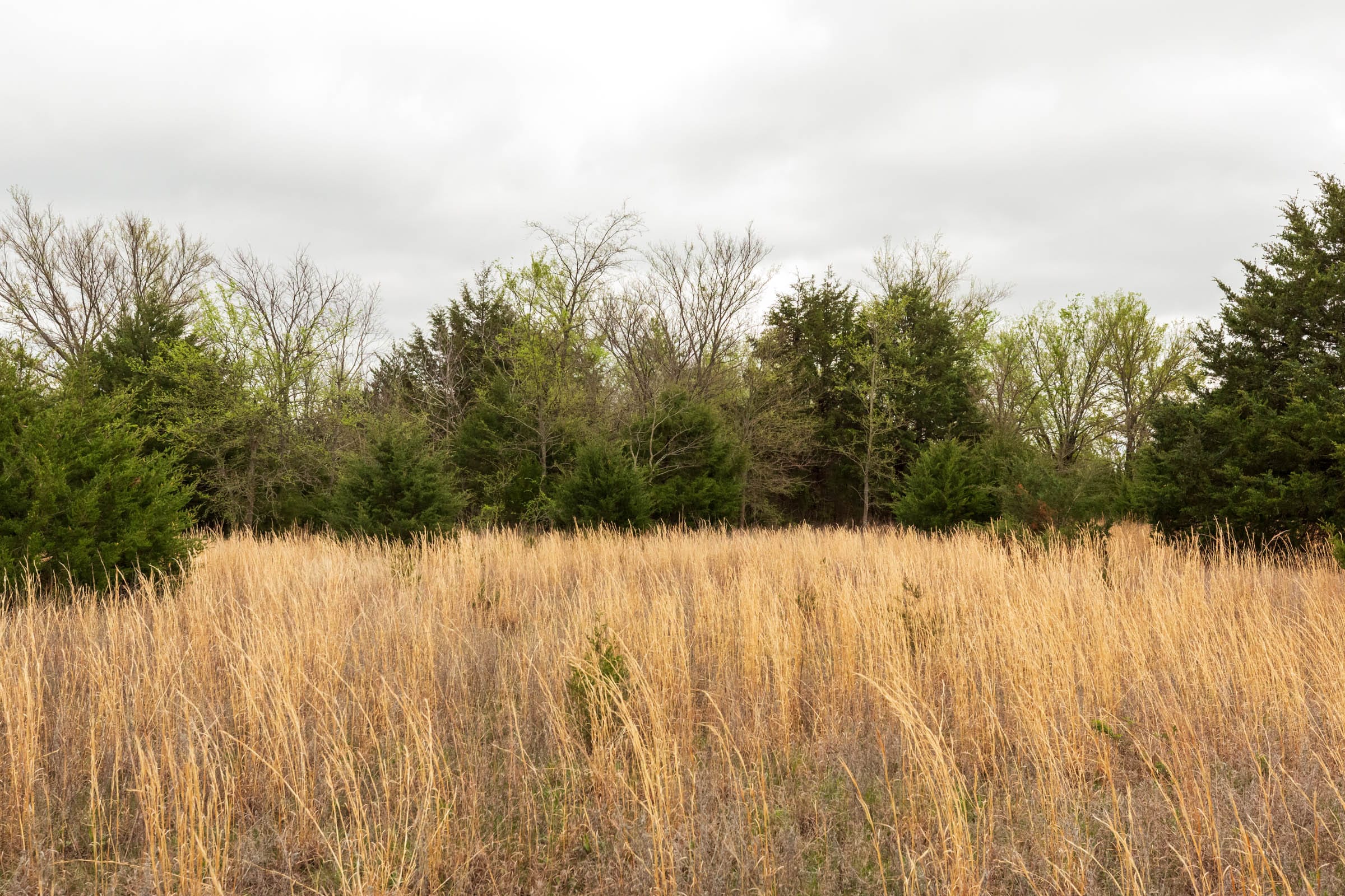 Moonrise Meadows Tract 16 photo 19
