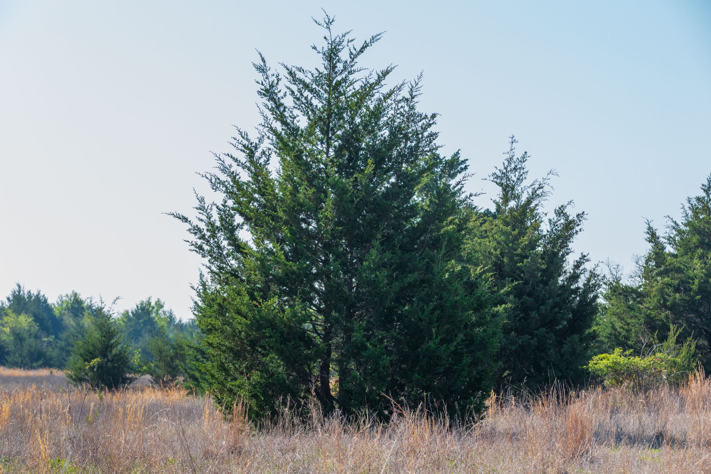 Moonrise Meadows Tract 16 photo 17