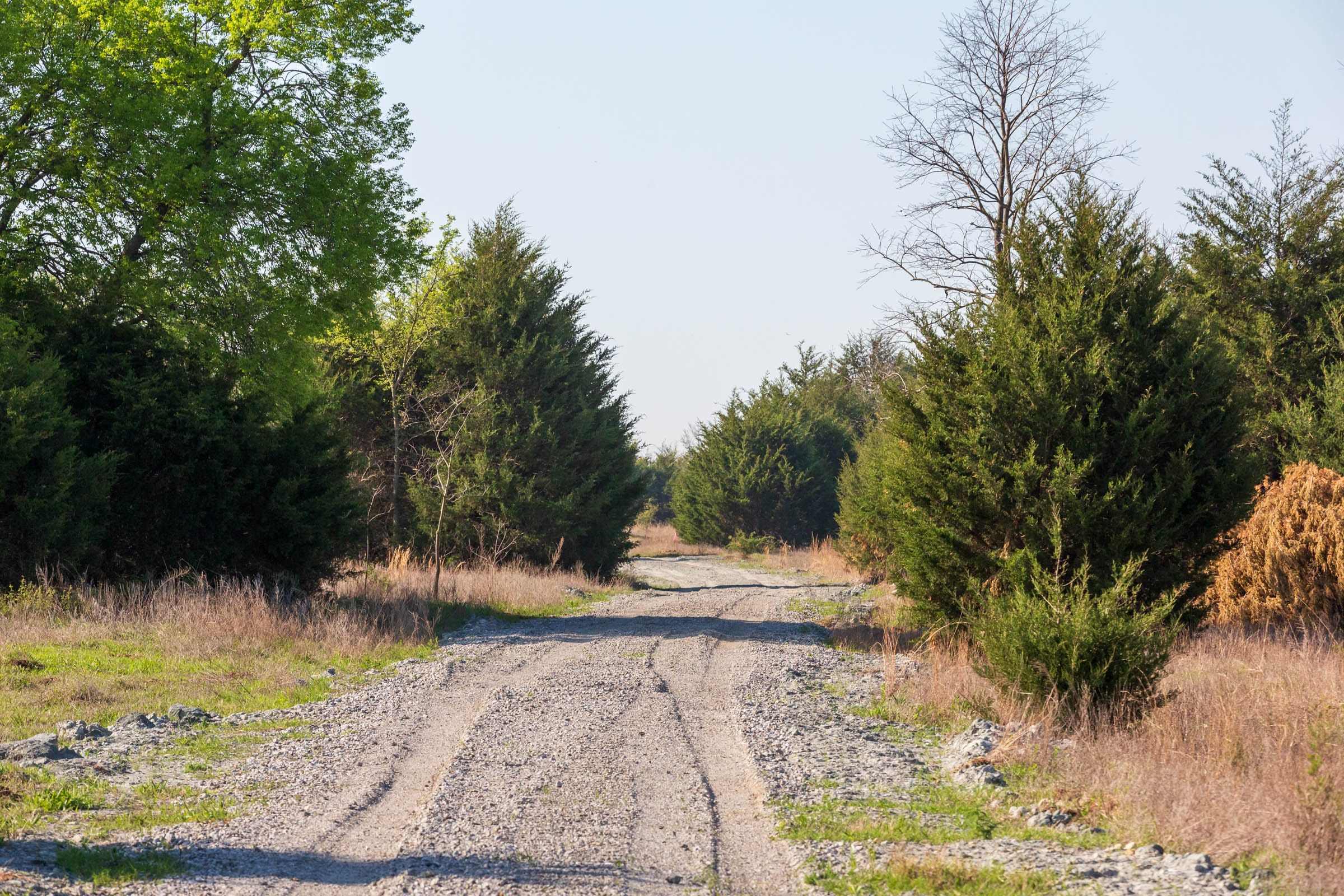 Moonrise Meadows Tract 16 photo 11