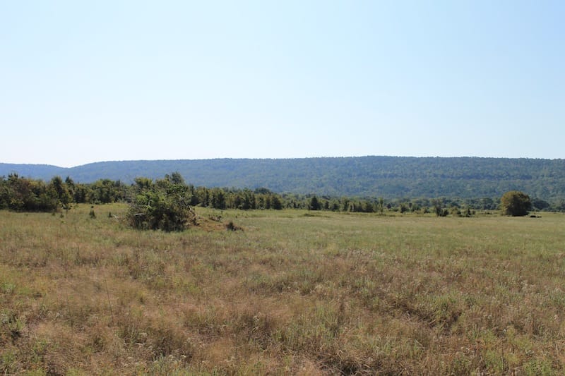 Daisy Meadows Tract 26 photo 2