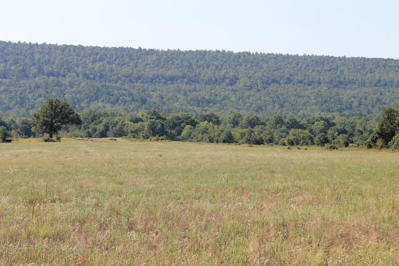 Daisy Meadows Tract 26 photo 4