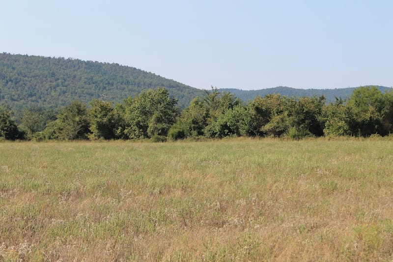 Daisy Meadows Tract 26 photo 5