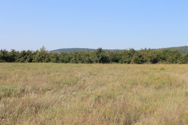 Daisy Meadows Tract 26 photo 6