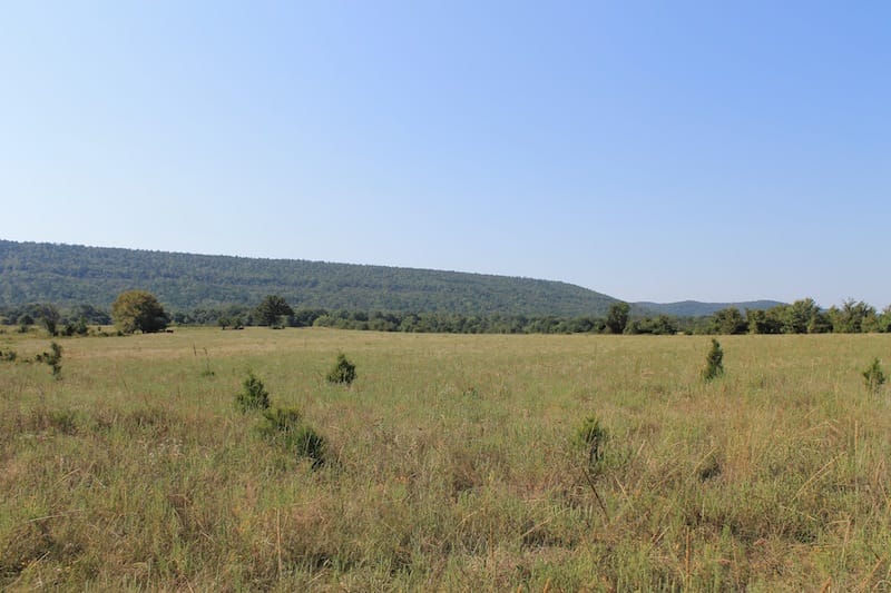 Daisy Meadows Tract 26 photo 7