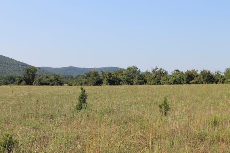 Daisy Meadows Tract 26 photo 8