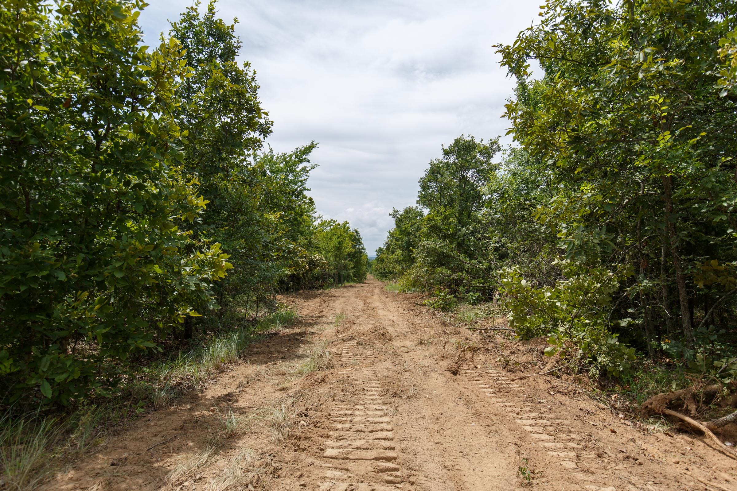 Timber Ridge Tract 3 photo 1