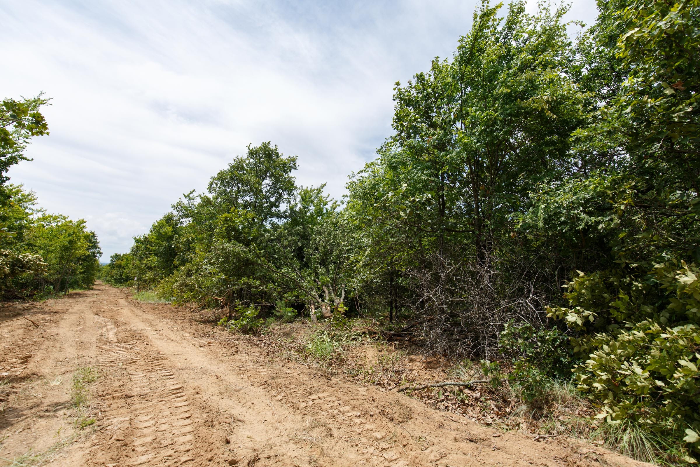 Timber Ridge Tract 3 photo 3