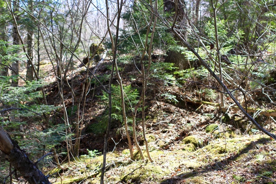 Pleasant Ridge Ranch Tract 1 photo 15