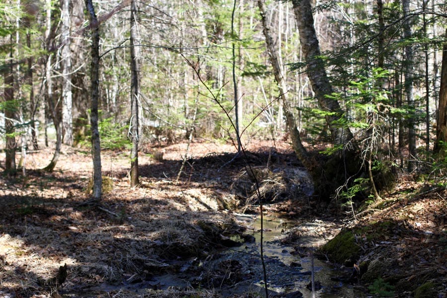 Pleasant Ridge Ranch Tract 1 photo 17