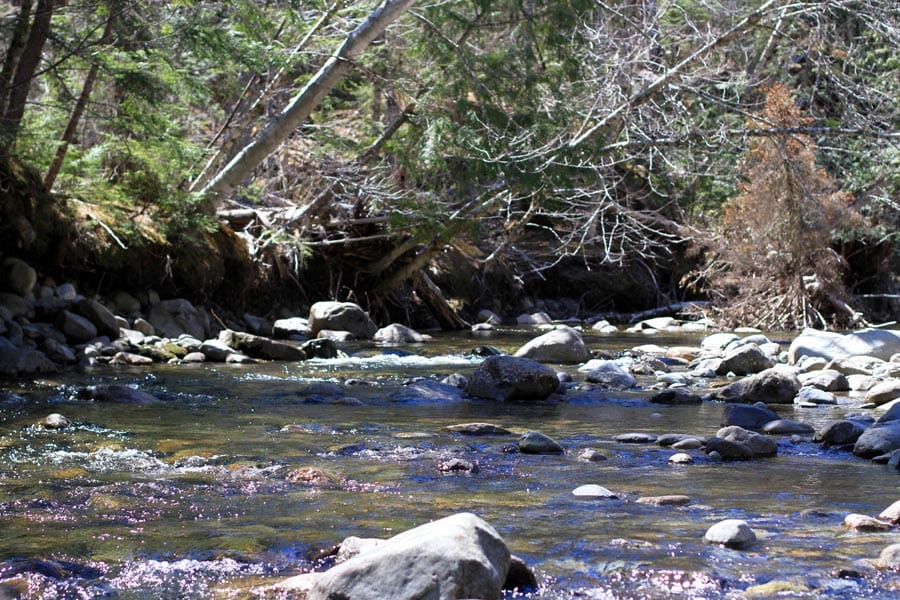 Pleasant Ridge Ranch Tract 1 photo 20