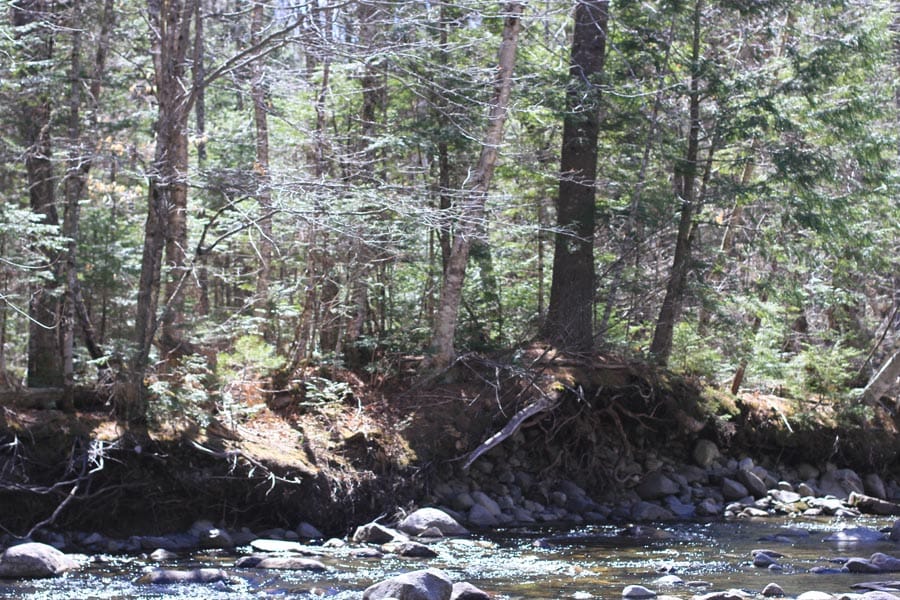 Pleasant Ridge Ranch Tract 1 photo 22