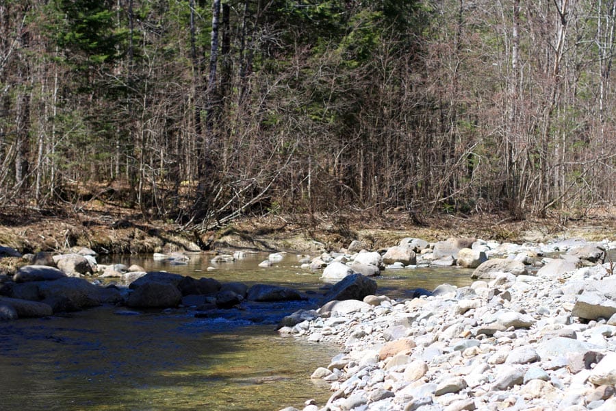Pleasant Ridge Ranch Tract 1 photo 24