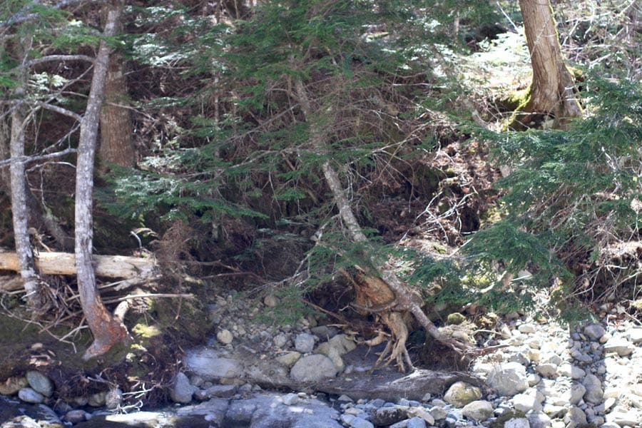 Pleasant Ridge Ranch Tract 1 photo 27