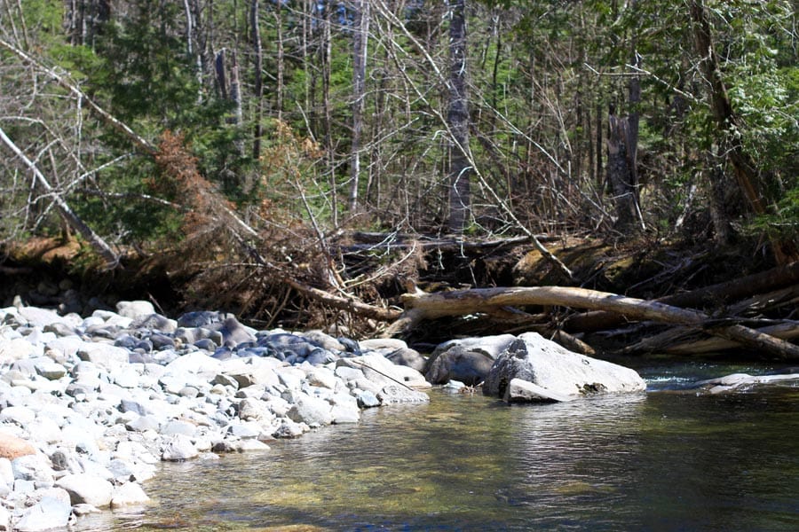 Pleasant Ridge Ranch Tract 1 photo 32