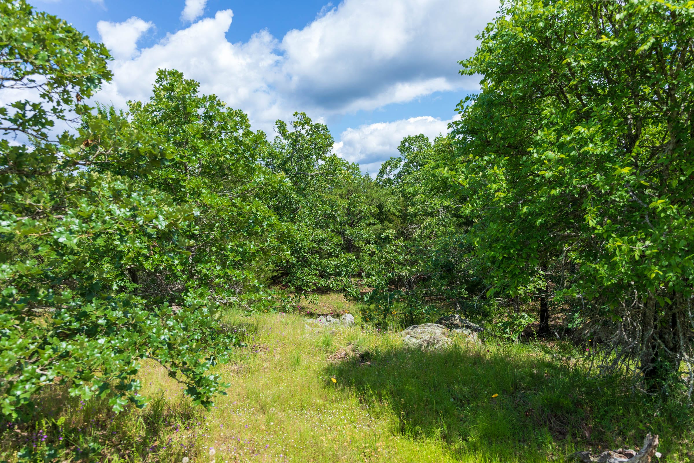 Falcon Crest Tract 25 photo 4