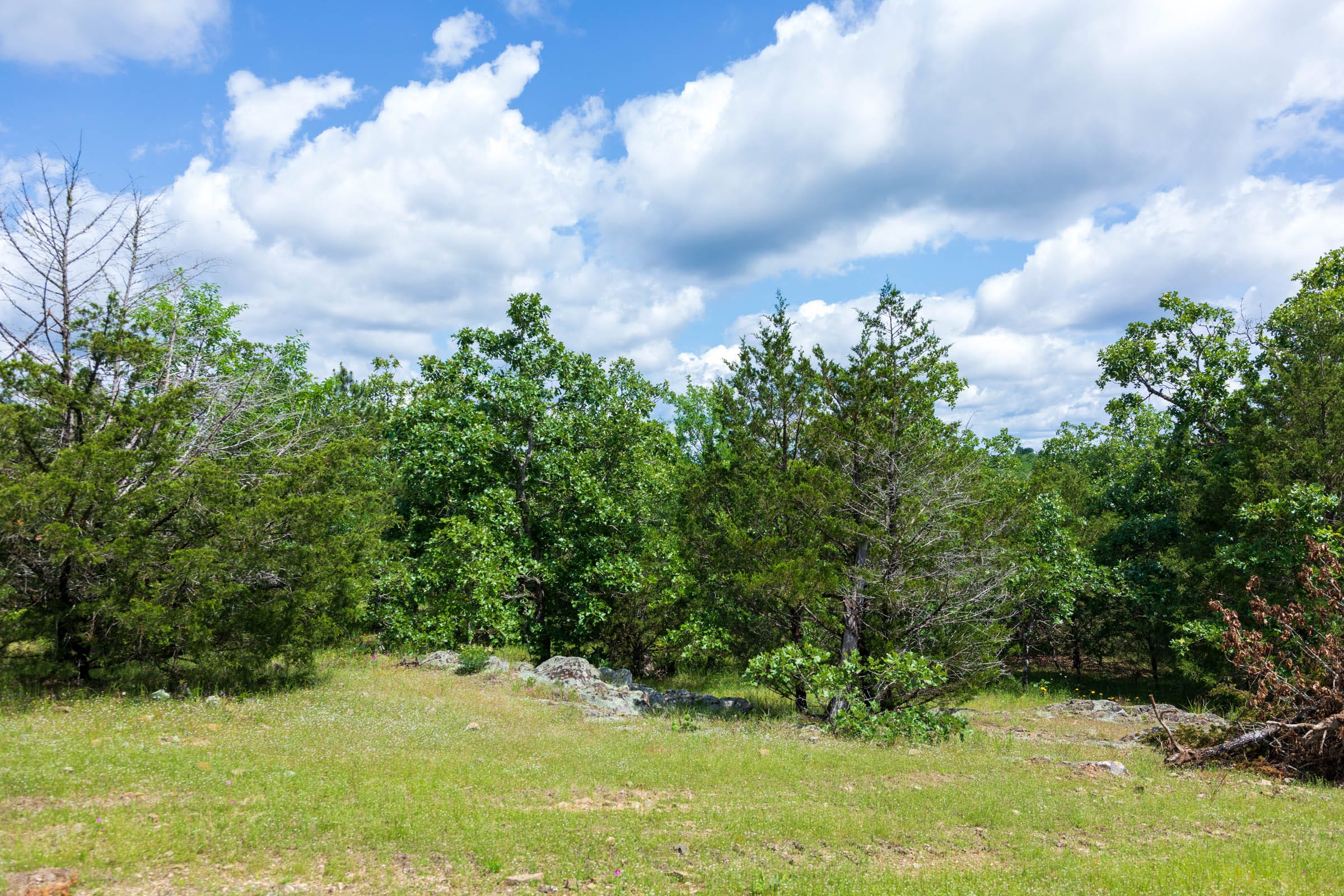 Falcon Crest Tract 25 photo 5