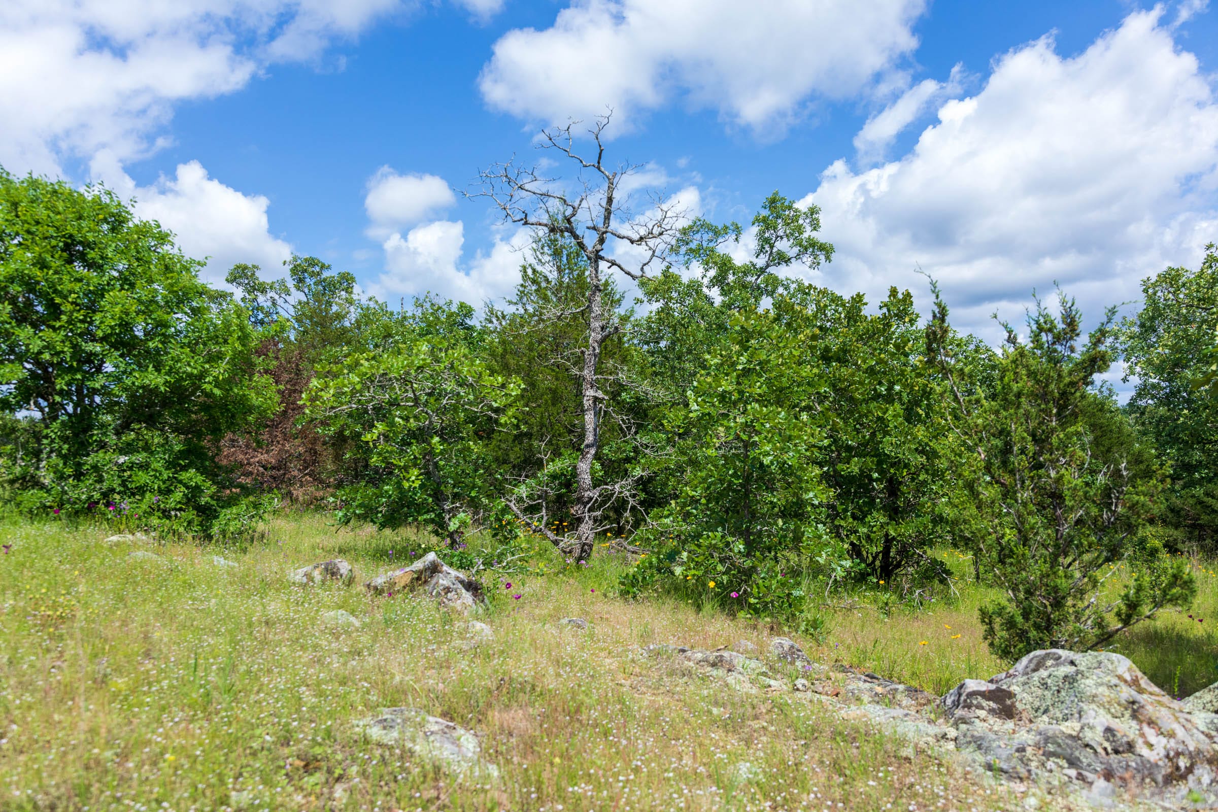 Falcon Crest Tract 25 photo 6