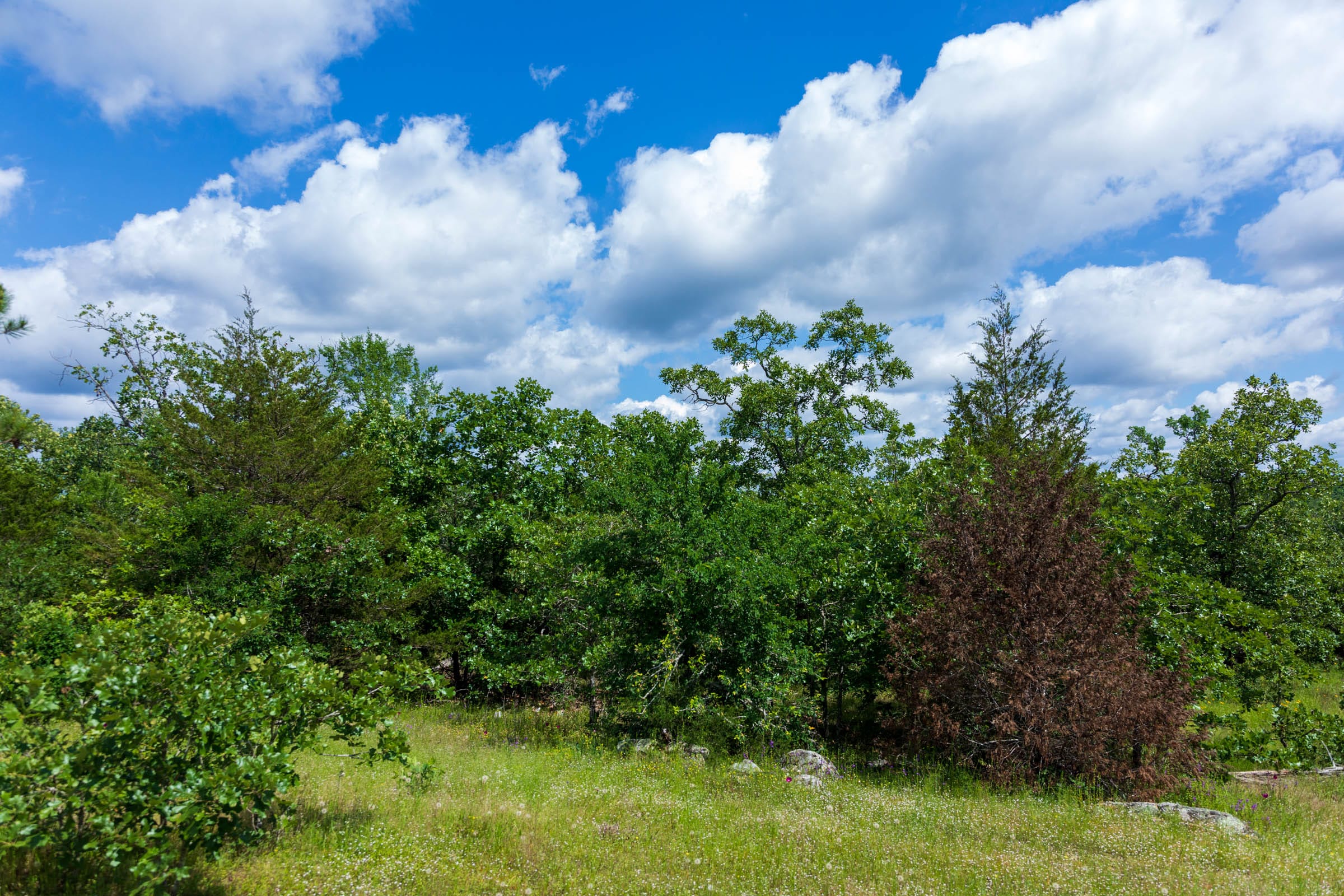 Falcon Crest Tract 25 photo 7
