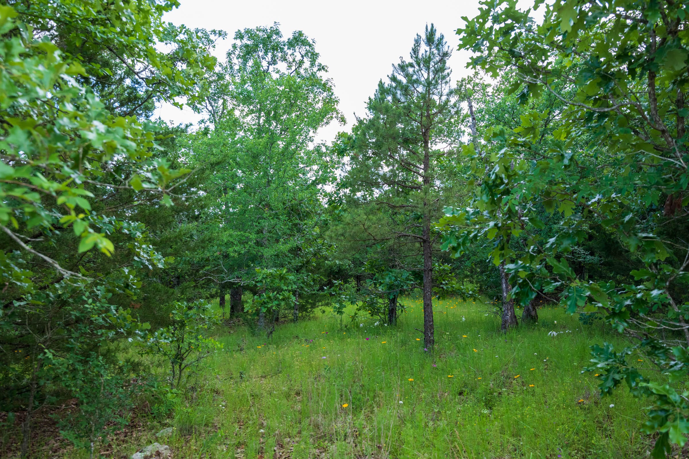 Falcon Crest Tract 25 photo 10