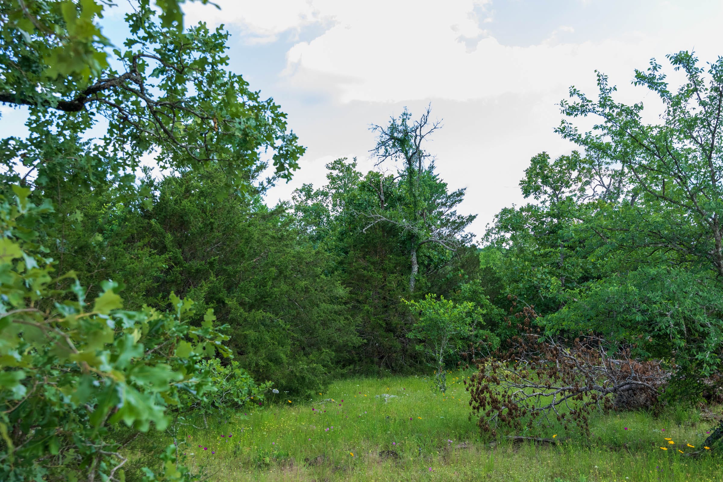 Falcon Crest Tract 25 photo 11
