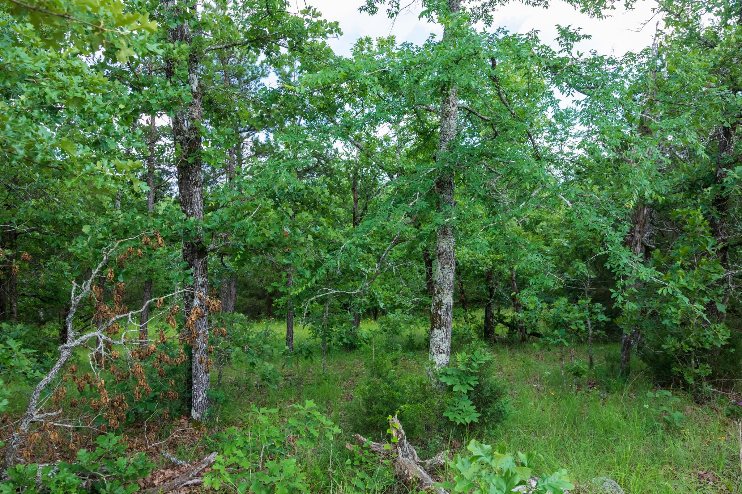 Falcon Crest Tract 25 photo 12