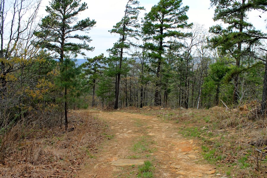 Trophy Ridge Phase III Tract 51 photo 1