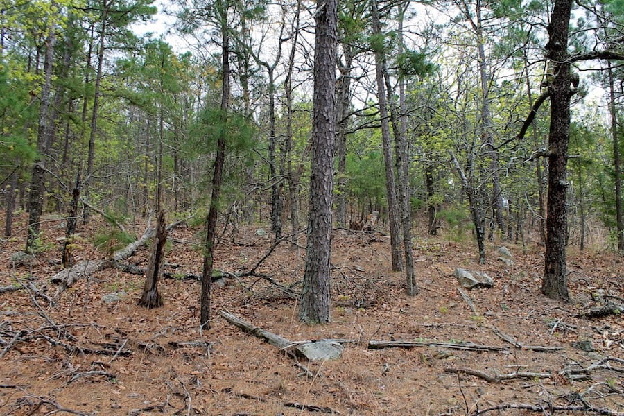 Trophy Ridge Phase III Tract 51 photo 9