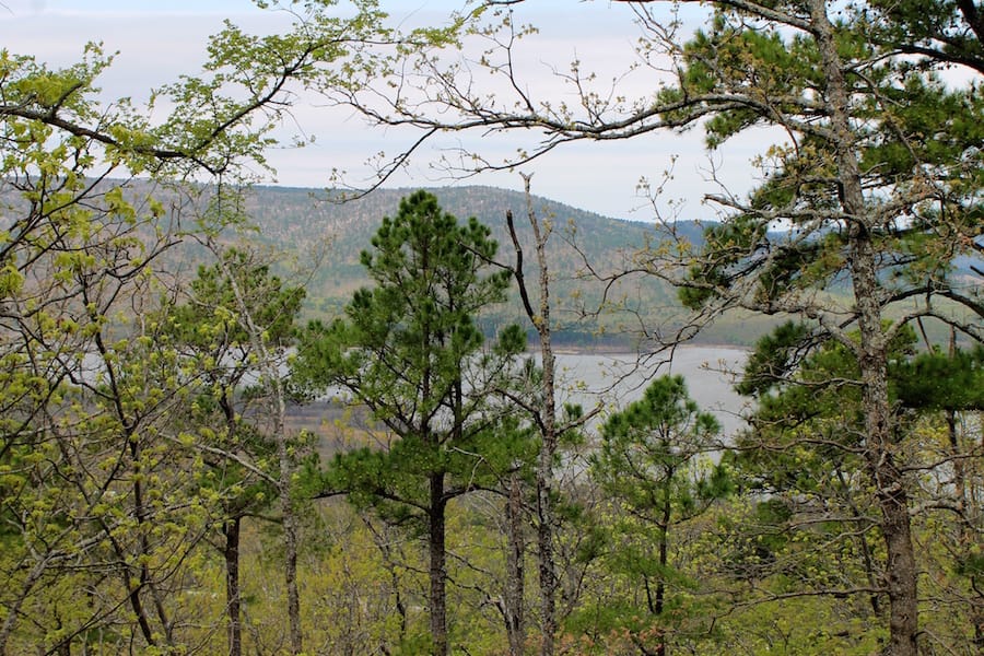 Trophy Ridge Phase III Tract 51 photo 20