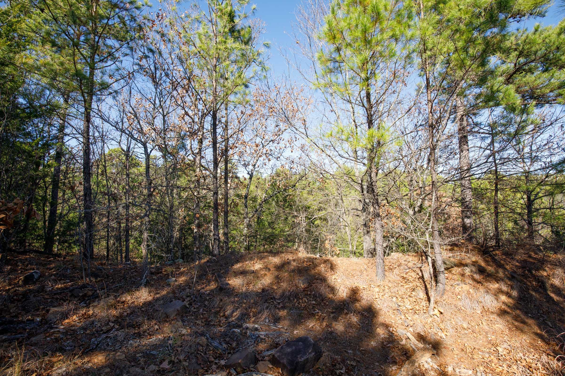 Stone Bridge Phase II Tract 75 photo 2