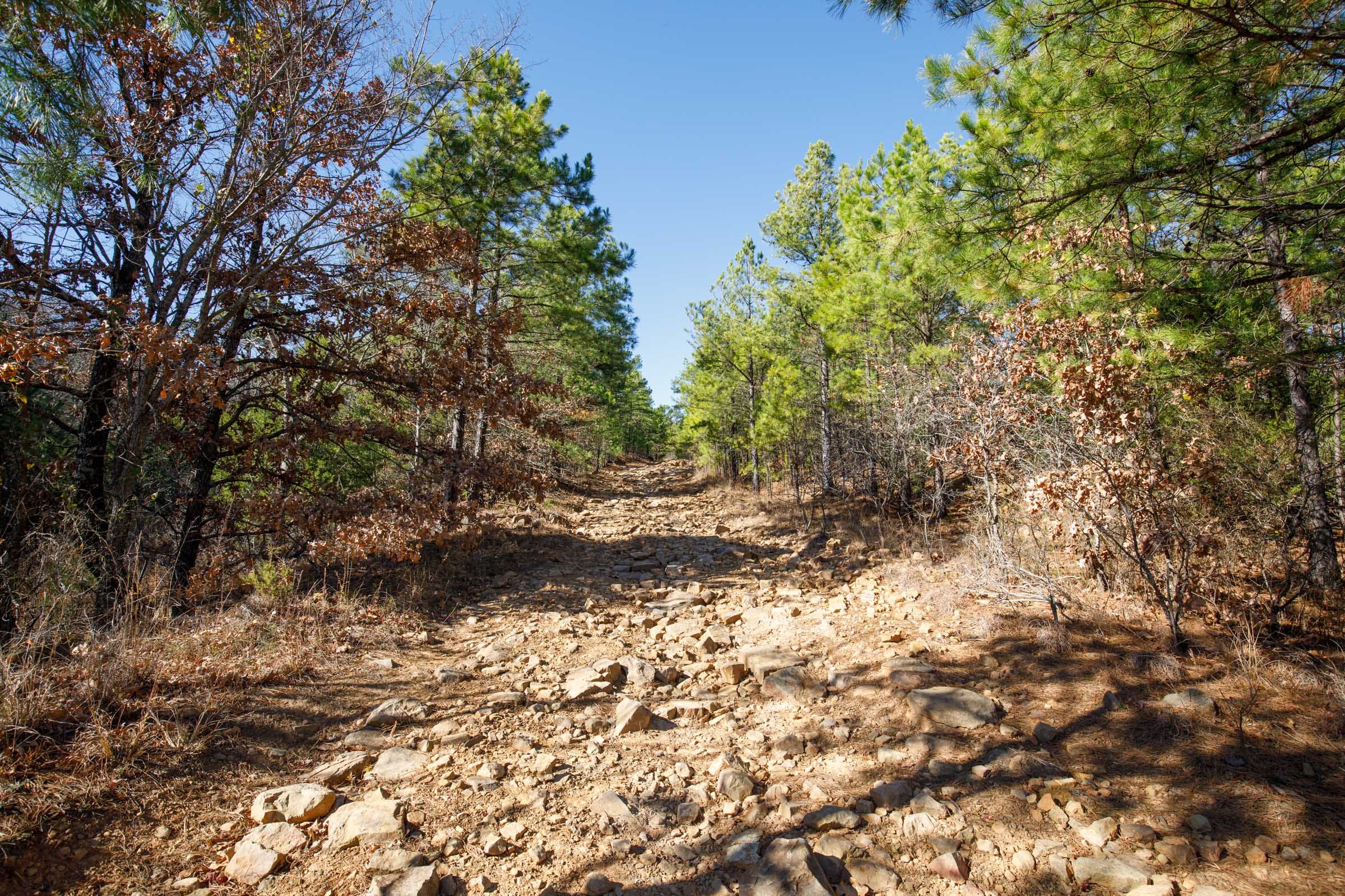 Stone Bridge Phase II Tract 75 photo 3