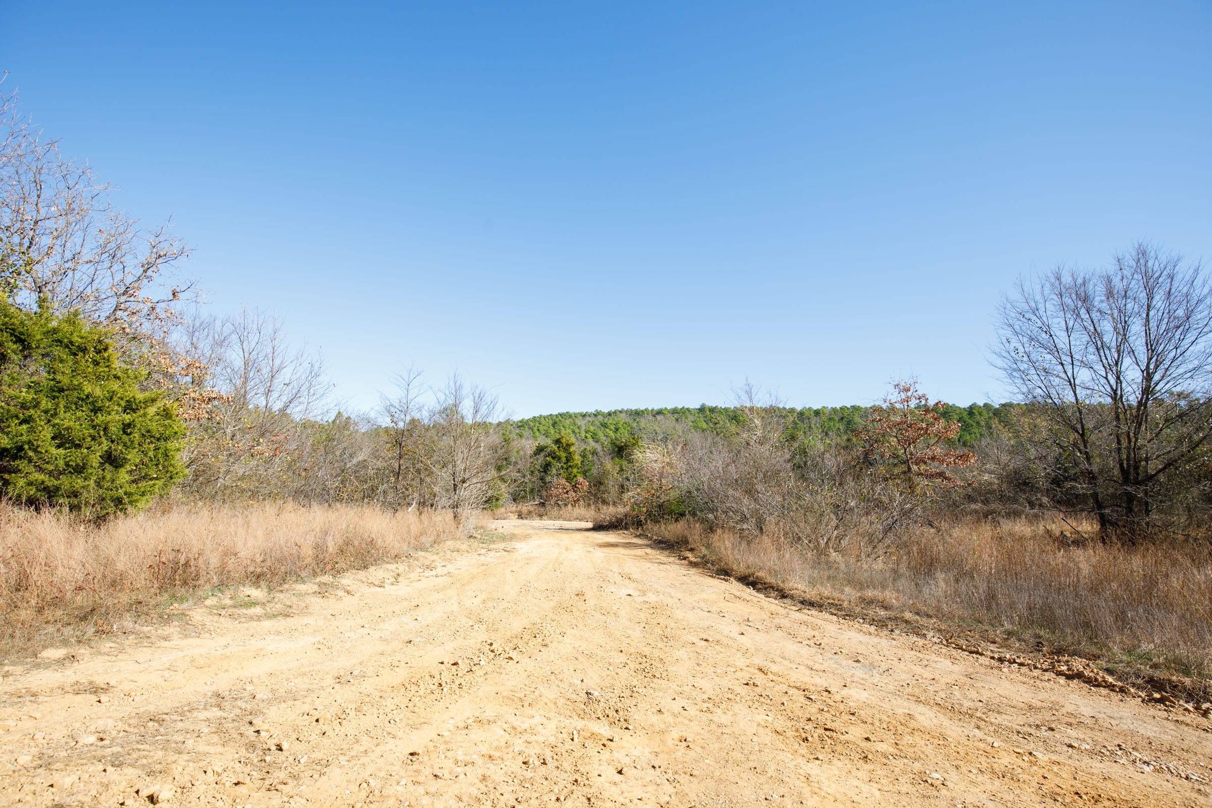 Stone Bridge Phase II Tract 75 photo 5
