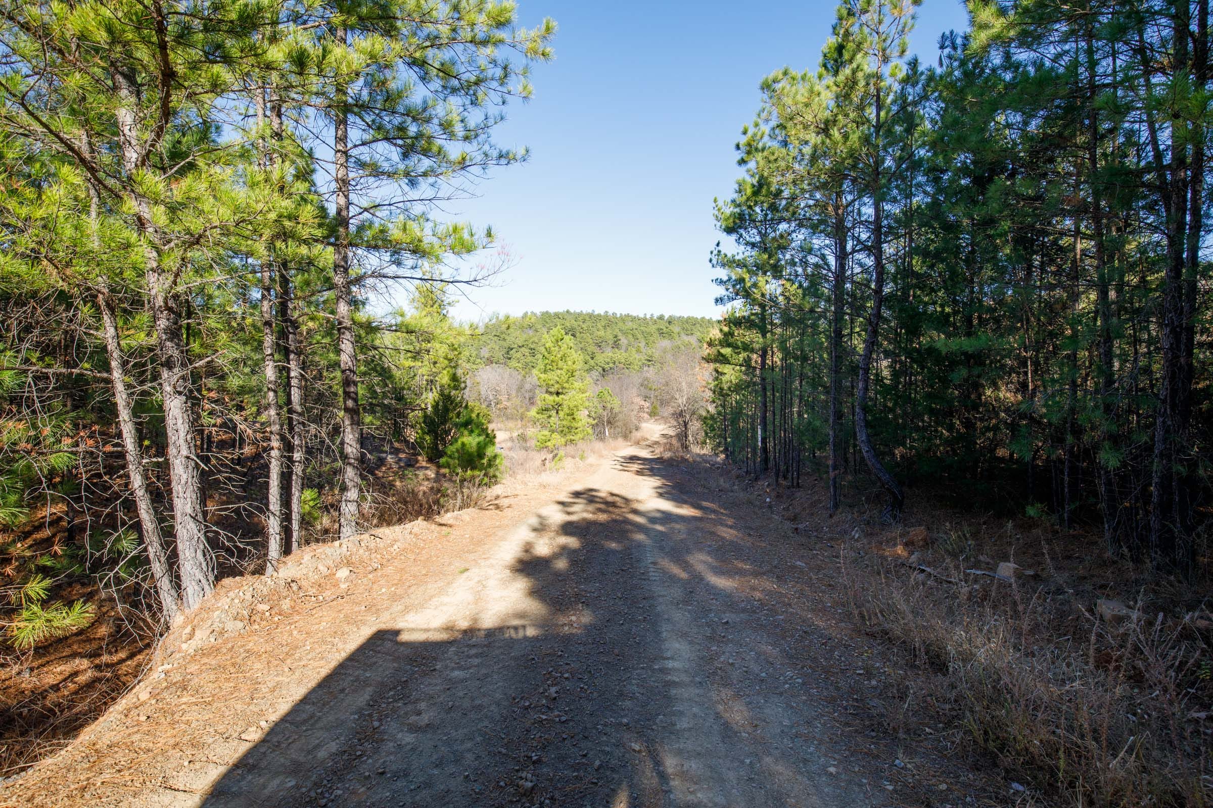 Stone Bridge Phase II Tract 75 photo 6