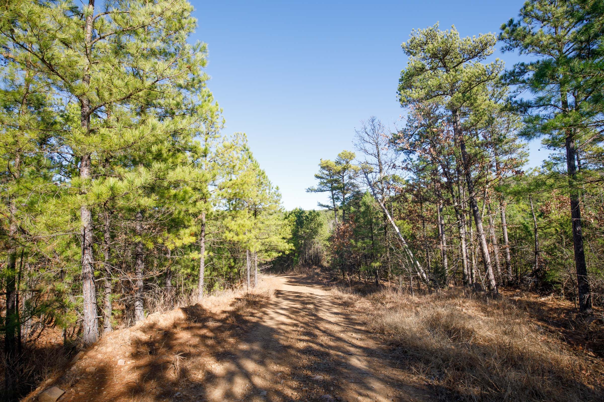 Stone Bridge Phase II Tract 75 photo 9