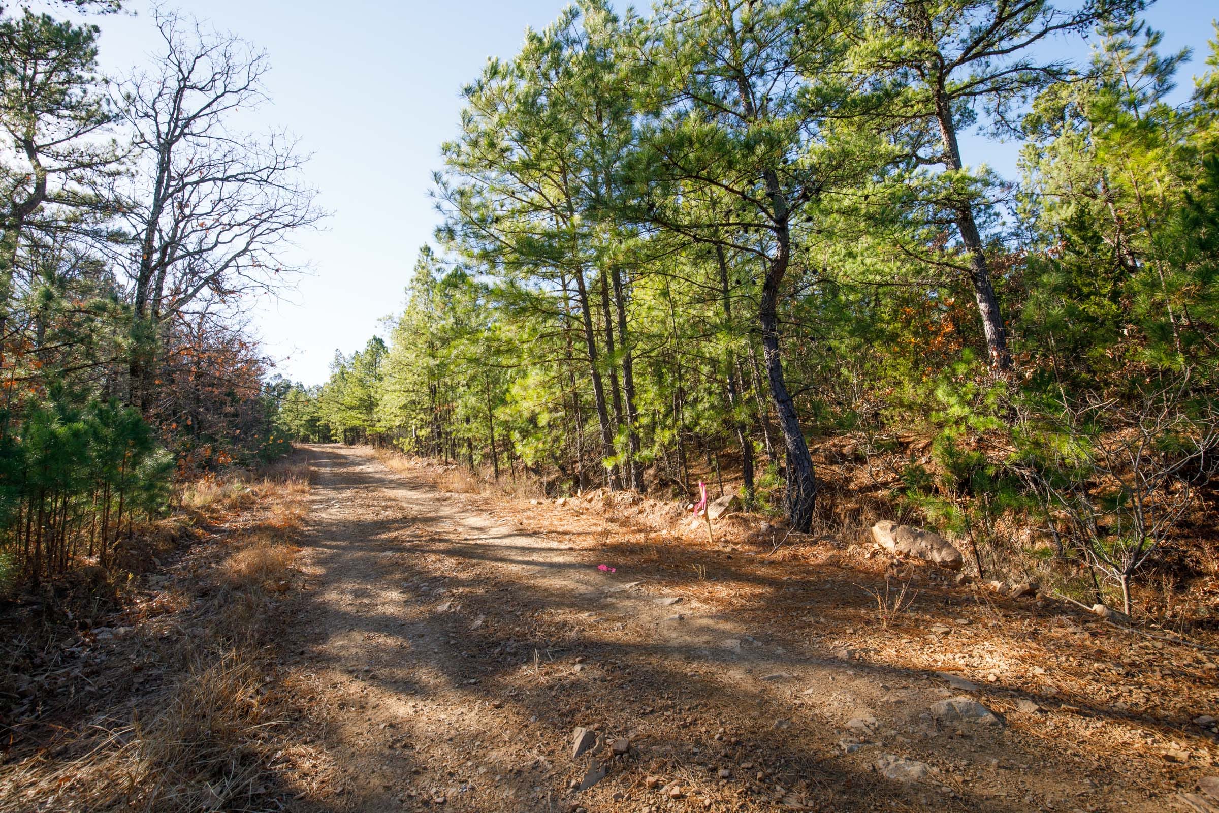 Stone Bridge Phase II Tract 75 photo 13