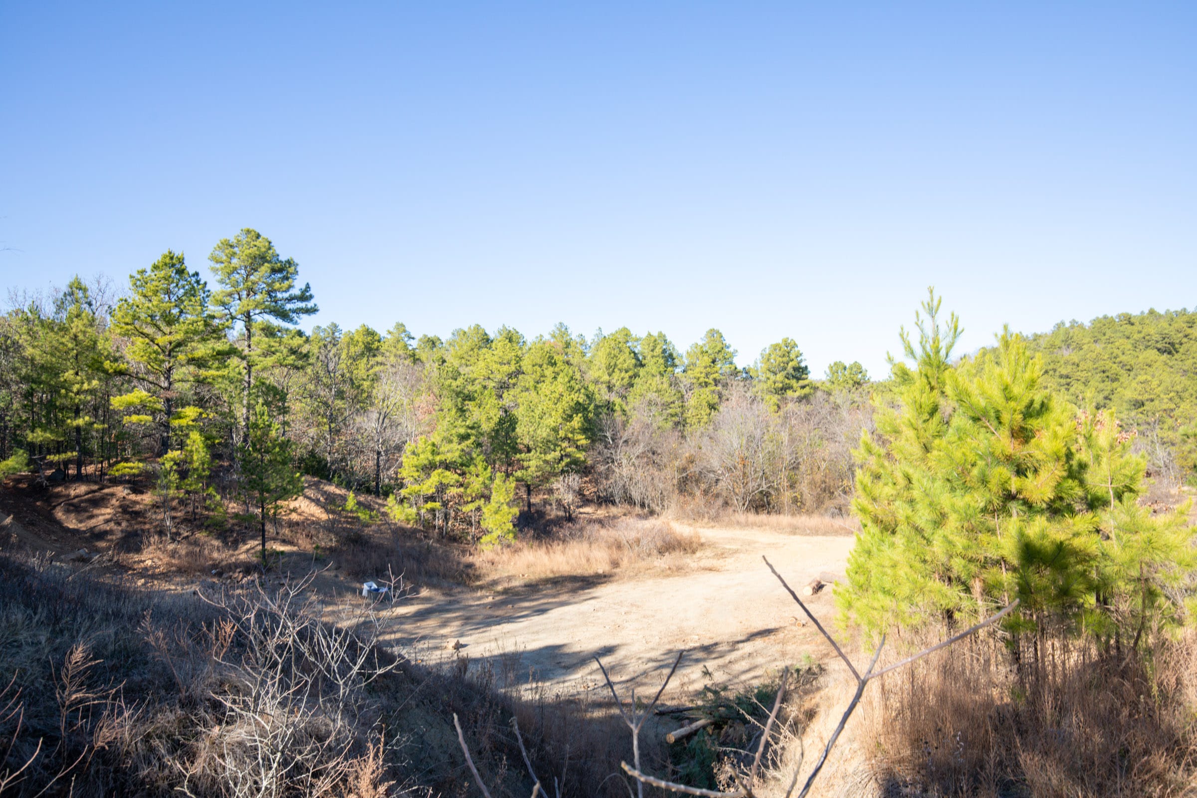 Stone Bridge Phase II Tract 75 photo 14