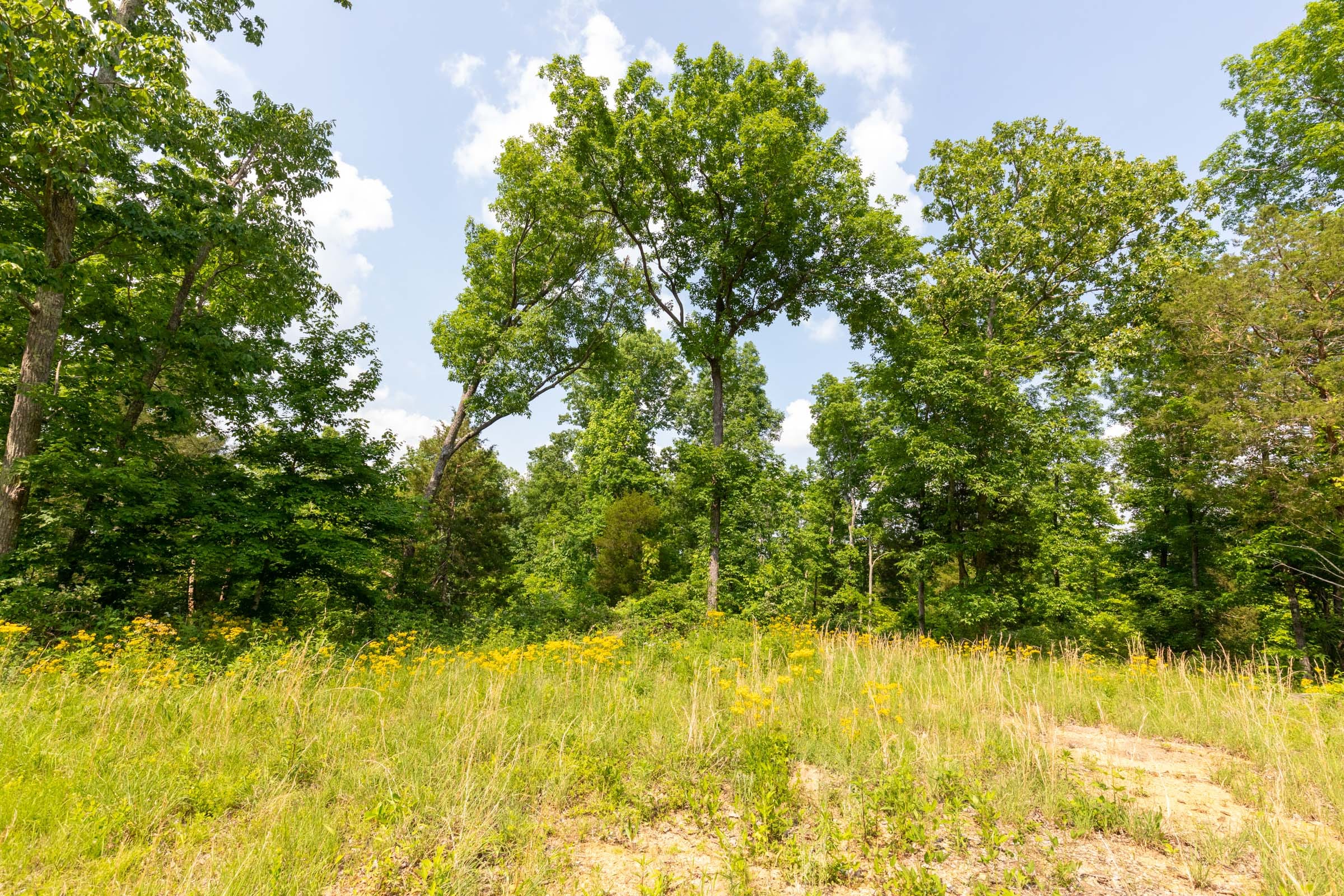 Cedar Creek Tract 62 photo 2