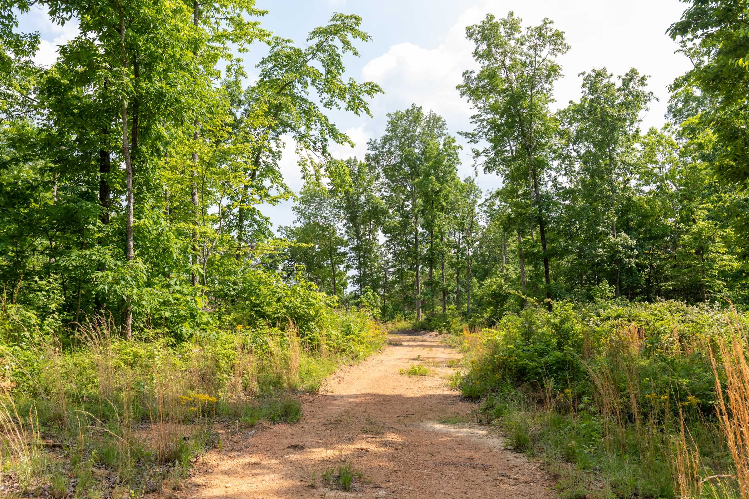 Cedar Creek Tract 62 photo 7