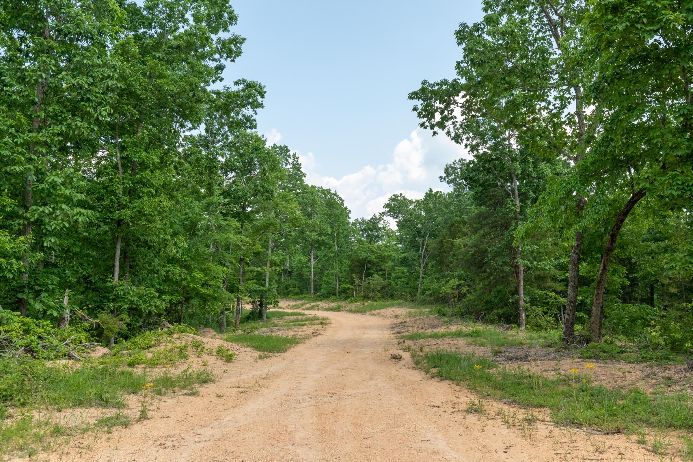 Cedar Creek Tract 62 photo 1