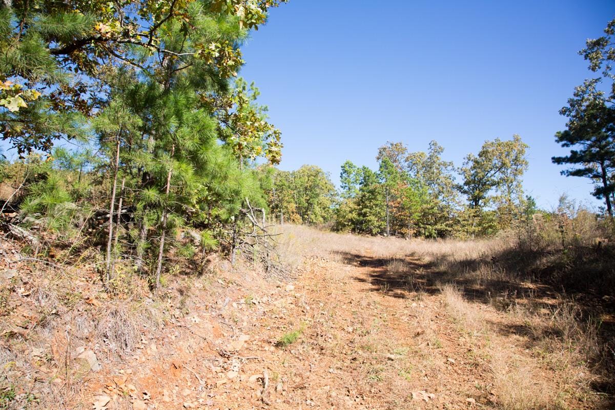 Stone Creek Phase I Tract 166 photo 1